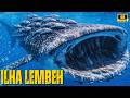 Estreito de Lembeh | O Planeta Alienígena Onde a Natureza Quebra Todas as Regras - Documentário