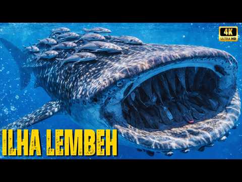 Estreito de Lembeh | O Planeta Alienígena Onde a Natureza Quebra Todas as Regras - Documentário
