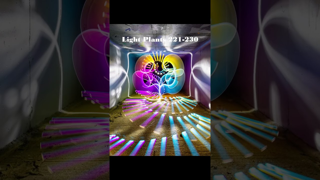 Long exposure light painting photography "light plants".