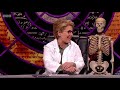 QI XL S16E14 Series P Episode 14 HD Pathology - 18 May 2019 (XL edition)