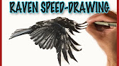 How to draw a Raven Real Easy - YouTube