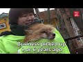 Play with foxes running free
