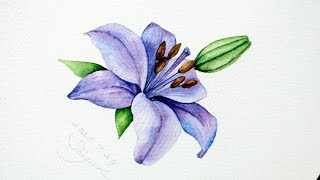 [베리현 수채화 short]나리꽃 백합그리기 Watercolor painting Watercolor flower Watercolor tutorial flower paint lily