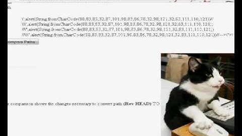 WebSVN Cross Site Scripting Demo Video