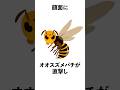 鏡迷アリスの雑学！幼少期の思い出編 #vtuber #セルフ解説 #雑学