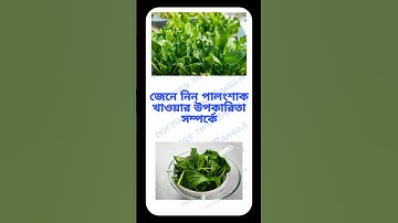 general knowledge | quiz | spinal cord #shorts #short #shortvideo || doctors tips Bangla || part 148