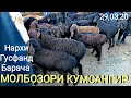 Бозори Кумсангир нархи Барача Буз ва Гусфанд