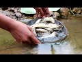 Survival skills: fish grilled on clay for food - Cooking fish eating delicious