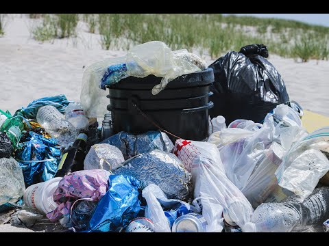 A Problem We Caused To The Environment | 1 Minute Documentary | Planet R's