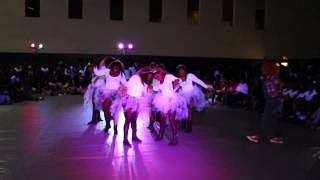 Delta Sigma Theta (Xi Epsilon) @ FAU Stroll Off (Fall 2014) 1st Place