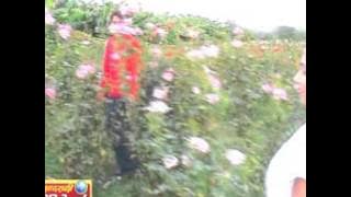 Pairi Re Pairi - पैरी रे पैरी - Sundriya - Gorelal Barman - Ratan Sabiha - Chhattisgarhi Song