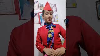 flight attendant #careerday #shorts #Janea wonder
