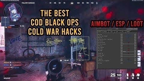 Cold War Hacks WORK in 2021 *EASY* (Mod Menu & Max Stats)