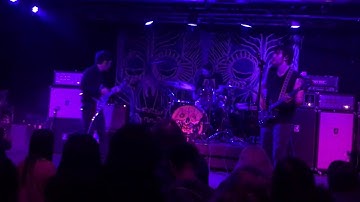 ALL THEM WITCHES