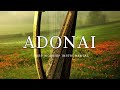 ADONAI/ PROPHETIC WARFARE INSTRUMENTAL / WORSHIP MUSIC / INTENSE HARP WORSHIP