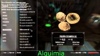 Skyrim-Guia de Profesiones(Herrería,Alquimia y Encantamiento)