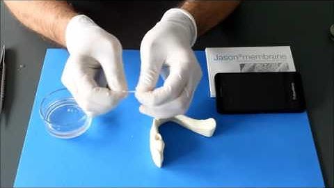 Jason Membrane (제이슨 멤브레인)