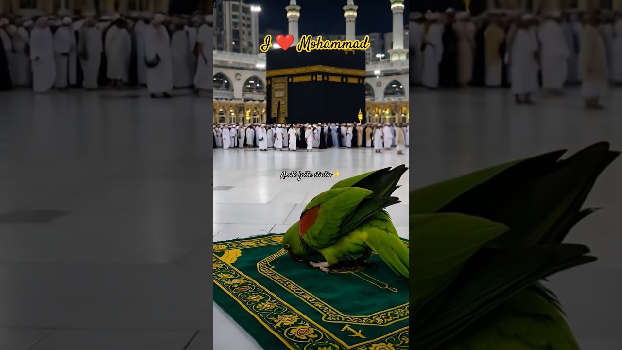 Heartouching naat🤲 