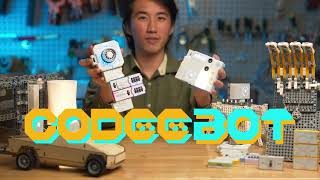 Famous CodeeBot: Snap! Code! Fun! Create Your Robots with AI! Net Worth