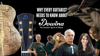 Dowina Guitars.   The Brand Mainstream Retailers Don't Want You To Know About.