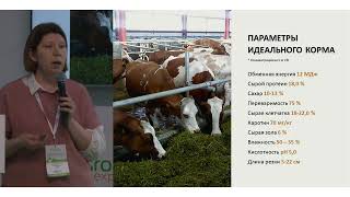 картинка: Практический семинар «Сенаж в упаковке. Молоко и деньги в технологии» на АГРОС 2023