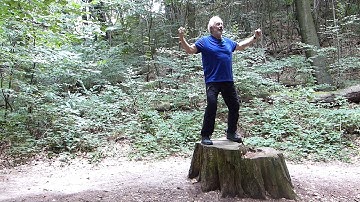 Microcosmic Orbit with Trees Full Video