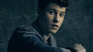 Shawn Mendes -There's Nothing Holdin' Me Back [MP3 Free Download]