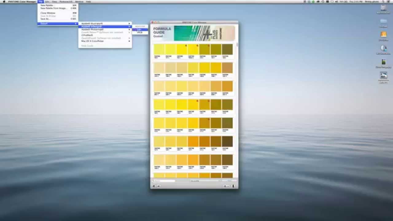 pantone color manager software mode information gmbh colour of the year 2007 540 u