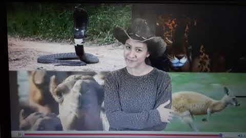 Next Move 1 unit 6 lesson 7