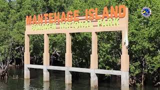 Mangrove park mantehage Island