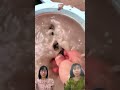 Sao vẫn là cái lược #trending #youtubeshorts #funny #shortvideo #shorts