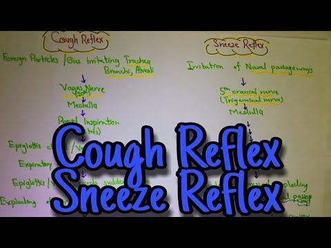 Cough reflex, sneeze reflex. Chapter 38 (part 10). Guyton and hall text book of physiology.