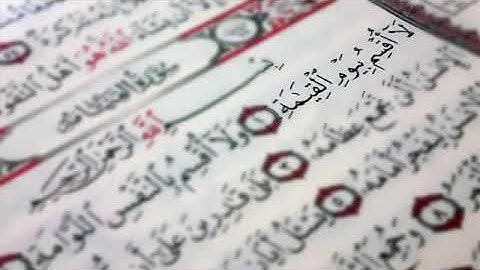 سورة القيامة | شيخ أبو بكر الشاطري | تلاوة عذبة