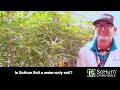 Do I have to use ONLY water with SoHum Living Soils®?