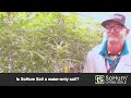 Do I have to use ONLY water with SoHum Living Soils®?