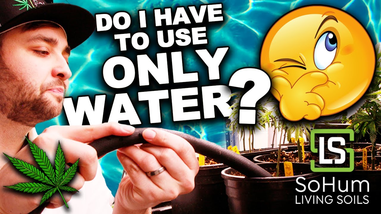 Do I have to use ONLY water with SoHum Living Soils®?
