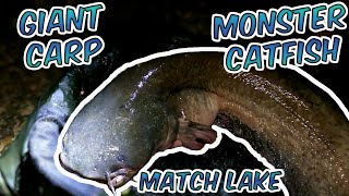 F.A.S.-Match Lake-Monster Catfish(83LB) and Giant Carp(35Lb)!!