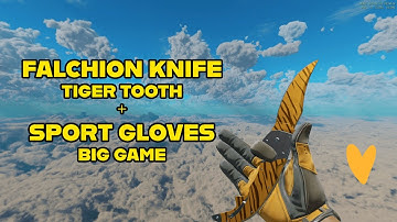 ★ FALCHION KNIFE TIGER TOOTH FN + ★ DRIVER GLOVES OVERTAKE | CS2 SKIN SHOWCASE