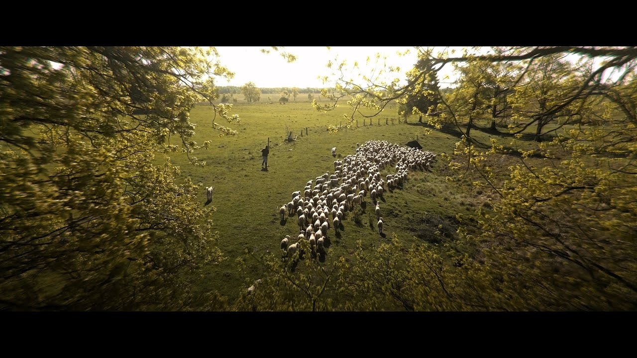 Harghita County 2023 – 1st place