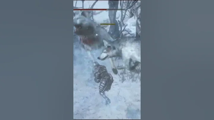 Survival Guide: Conquer the Wolf Pack in Dark Souls 3 - DayDayNews