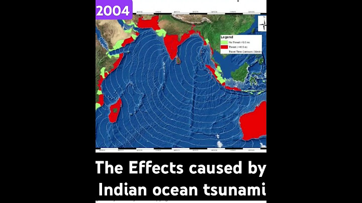Effects caused by the Indian ocean tsunami (2004)#indianoceantsunami(2004)