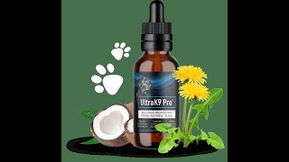 Transform Your Dog’s Health Naturally with UltraK9Pro