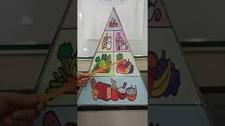 شرح درس المغذيات والهرم الغذائي علوم الصف التاسع الفصل الدراسي الاول