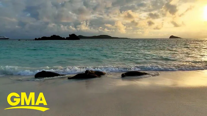 'GMA' explores the Galpagos archipelago | GMA