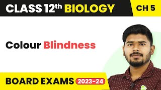 Colour Blindness - Principles of Inheritance and Variation | Class 12 Biology