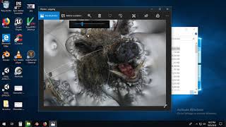 VisualSFM error fix, how to