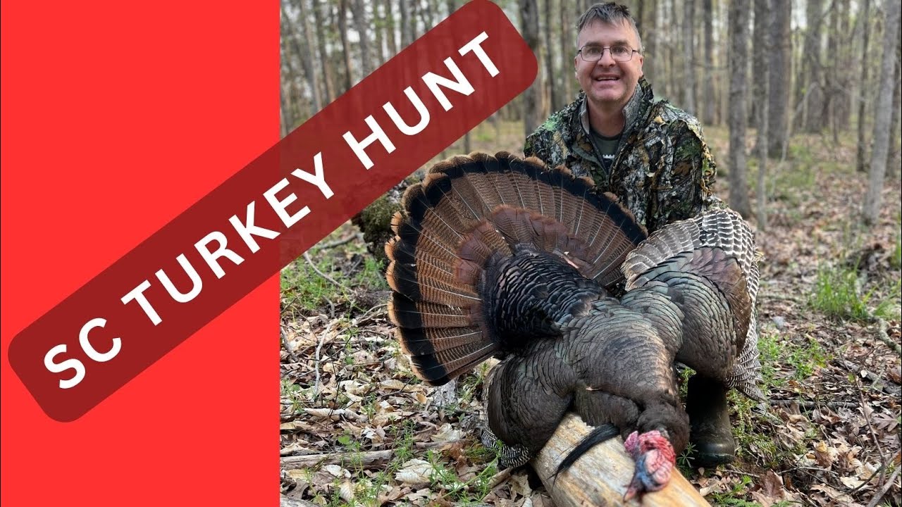 South Carolina 2024 Turkey Hunting Trip YouTube