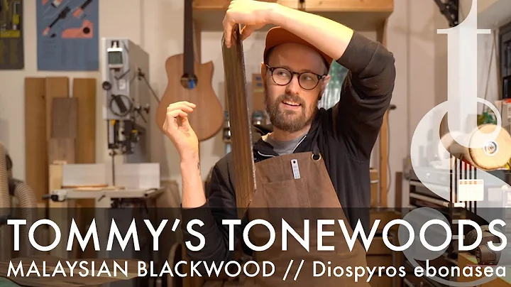 Malaysian Blackwood - Diospyros ebonasea - Tommy's...