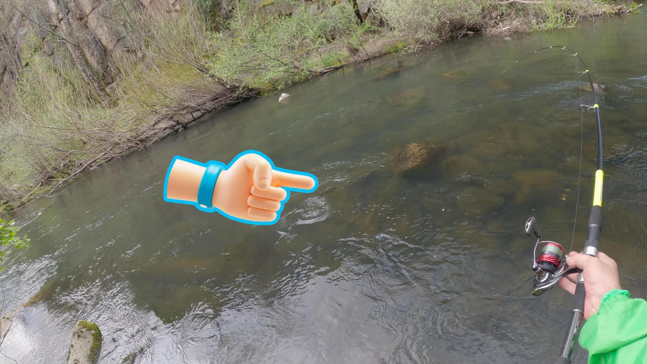 Pesca  de grandes truchas marrones en el gran cañon | Tª Pesca 2025