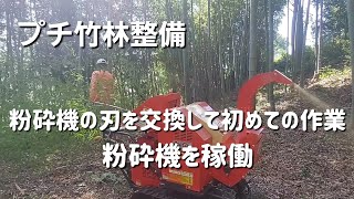 プチ竹林整備　粉砕機の刃を交換して初めての作業　　　　粉砕機を稼働